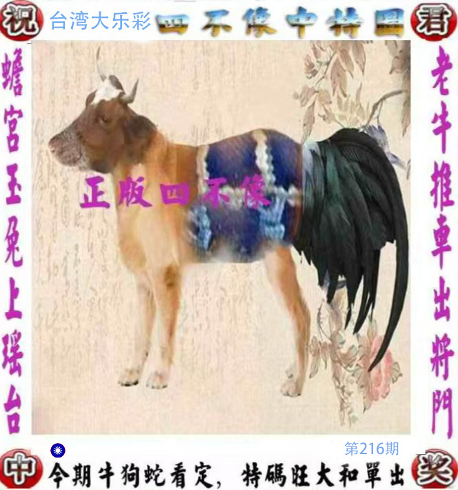 First Image
